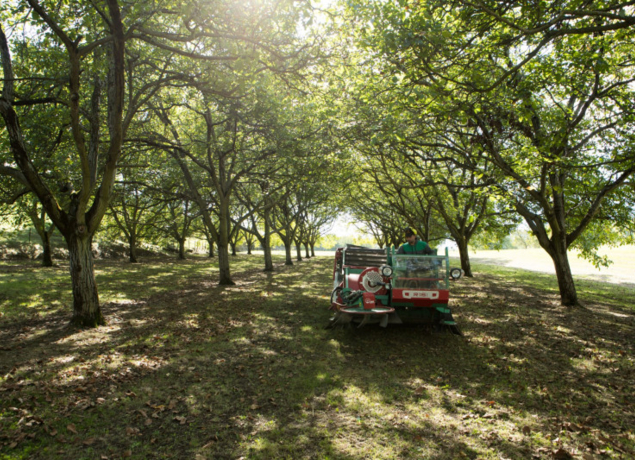Photo de La Ferme des Valnoix