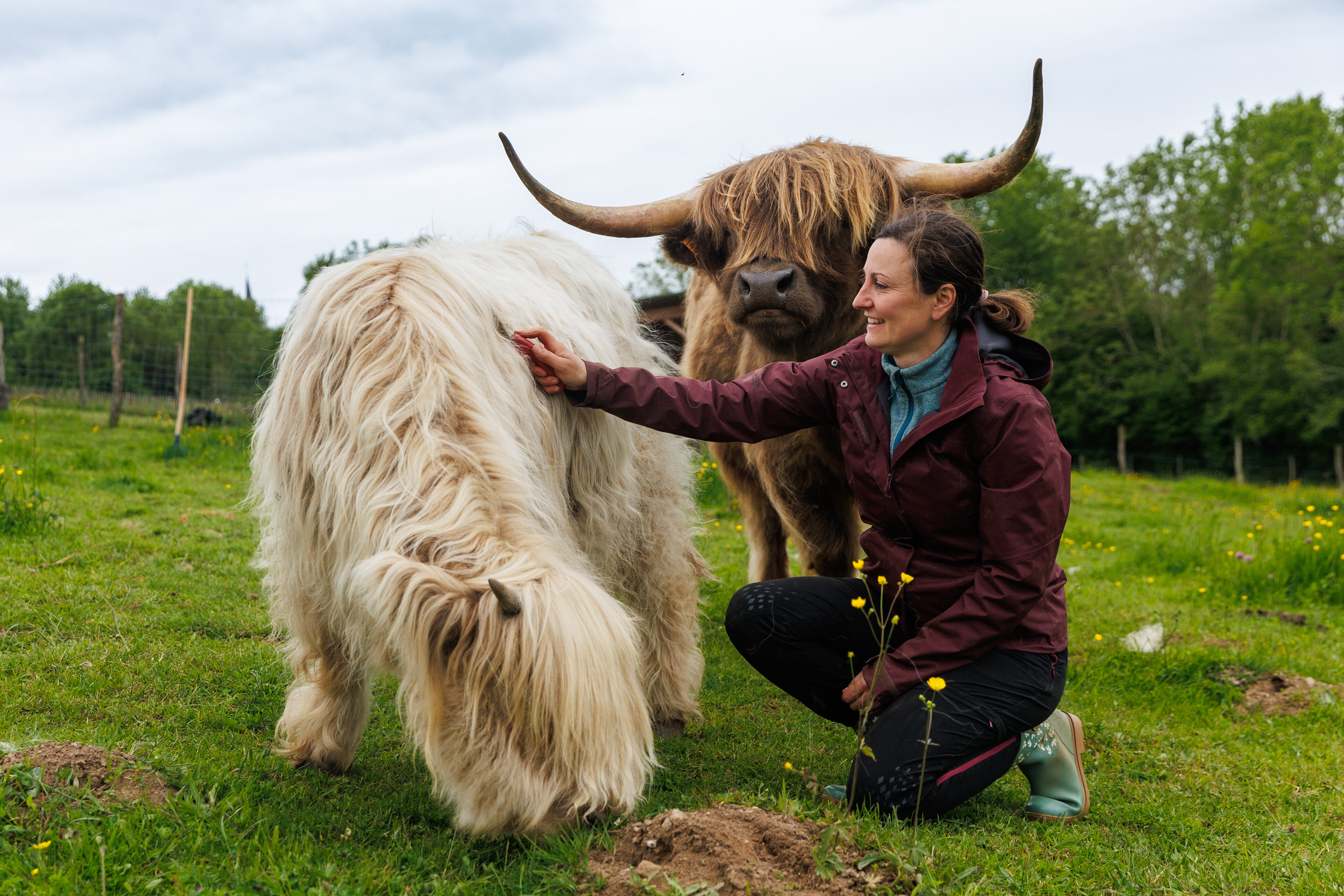 Photo de La ferme de la Marinette