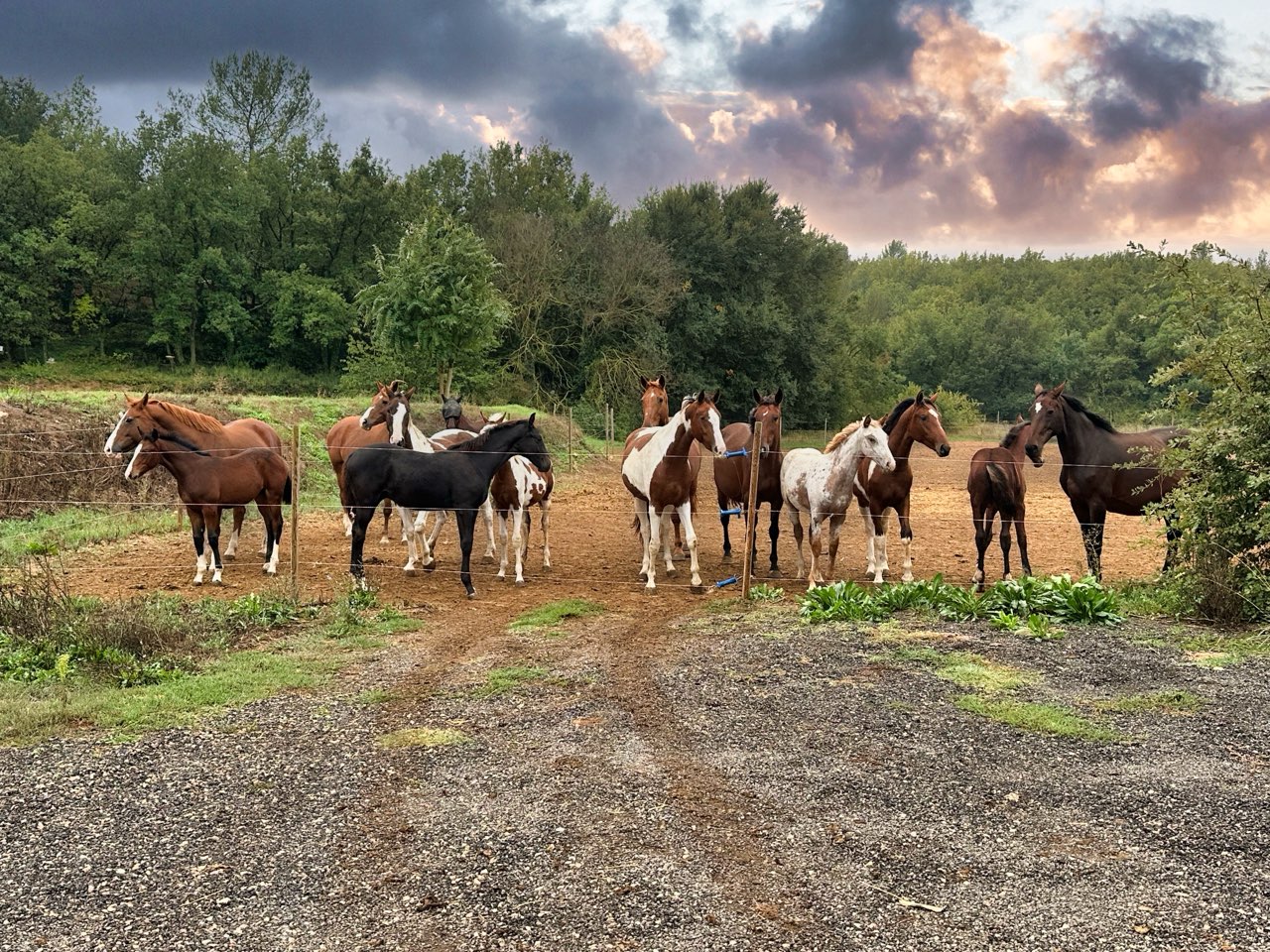 Les ecuries d’edoras