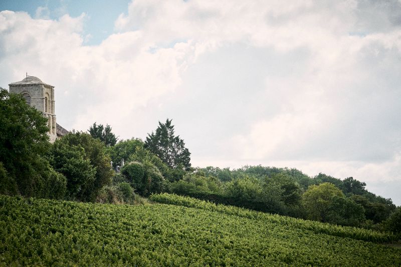 Photo de Visite et dégustation