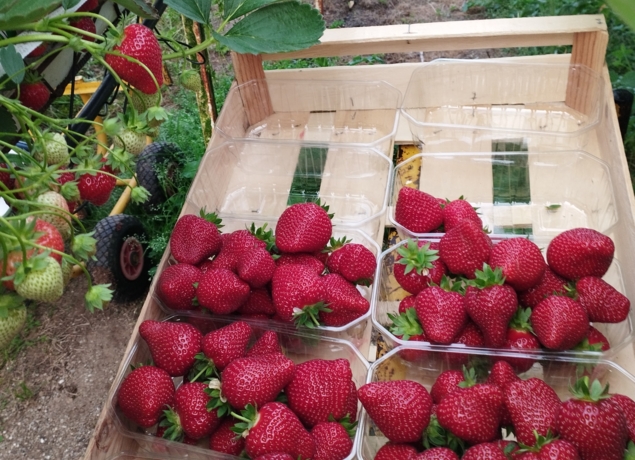 Photo de LES SERRE AU PRE - Thierry Massalve