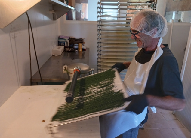 La Cabane à Spiruline