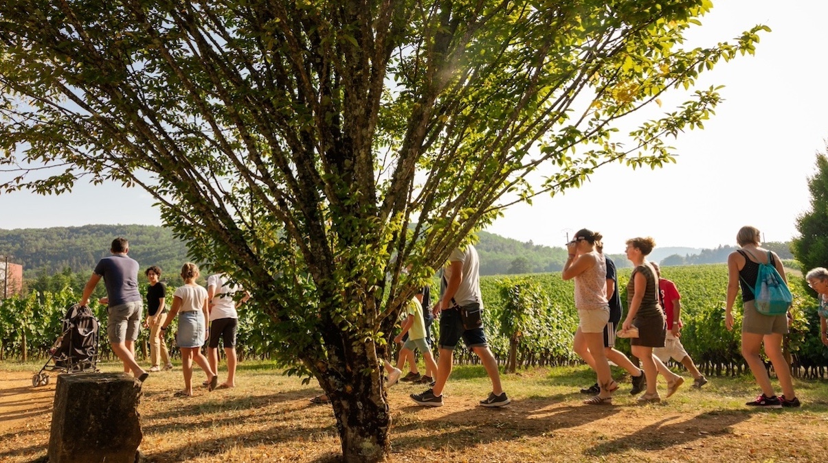 Photo de Château Saint-Sernin