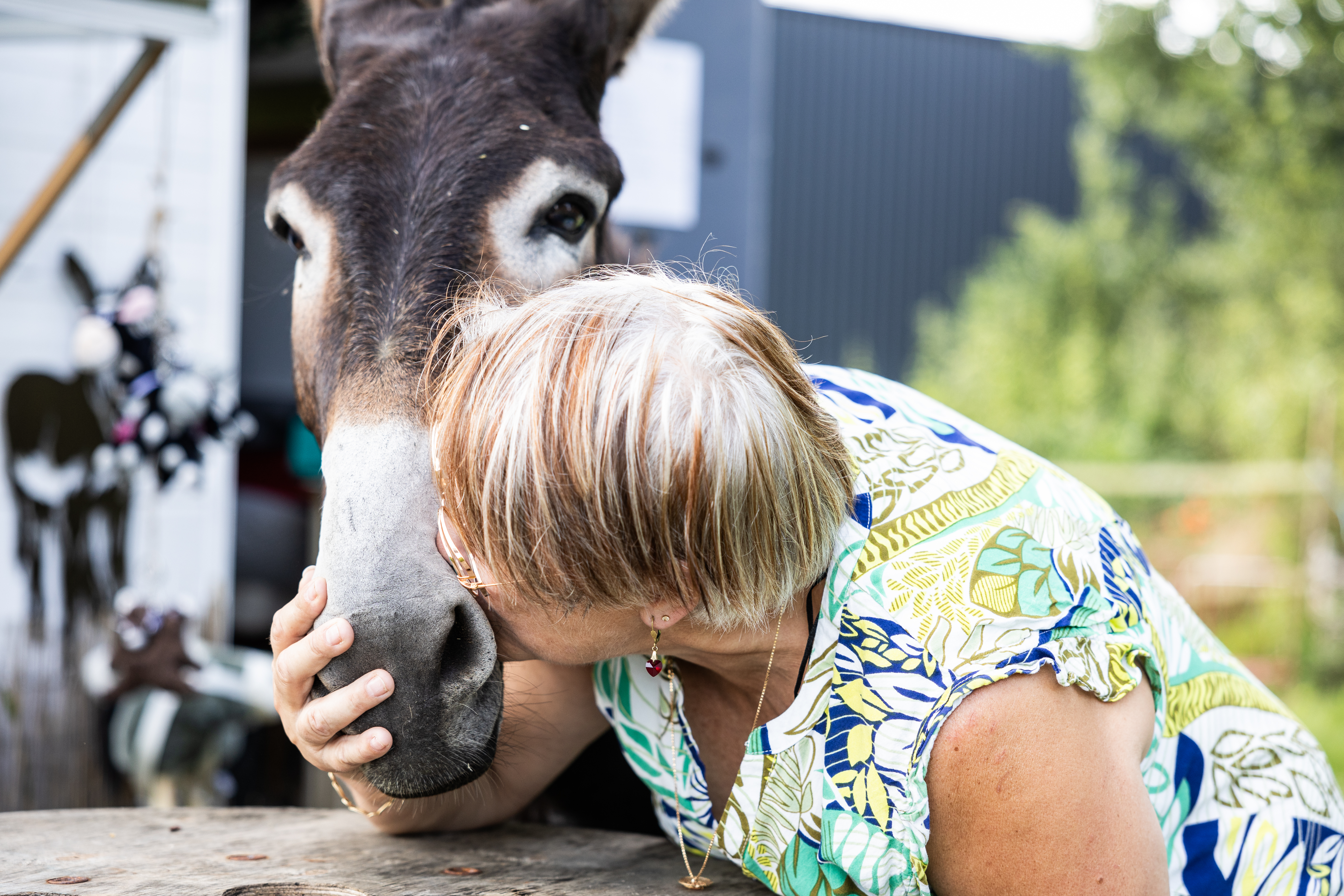 Photo de ASINERIE DE PES VITIS