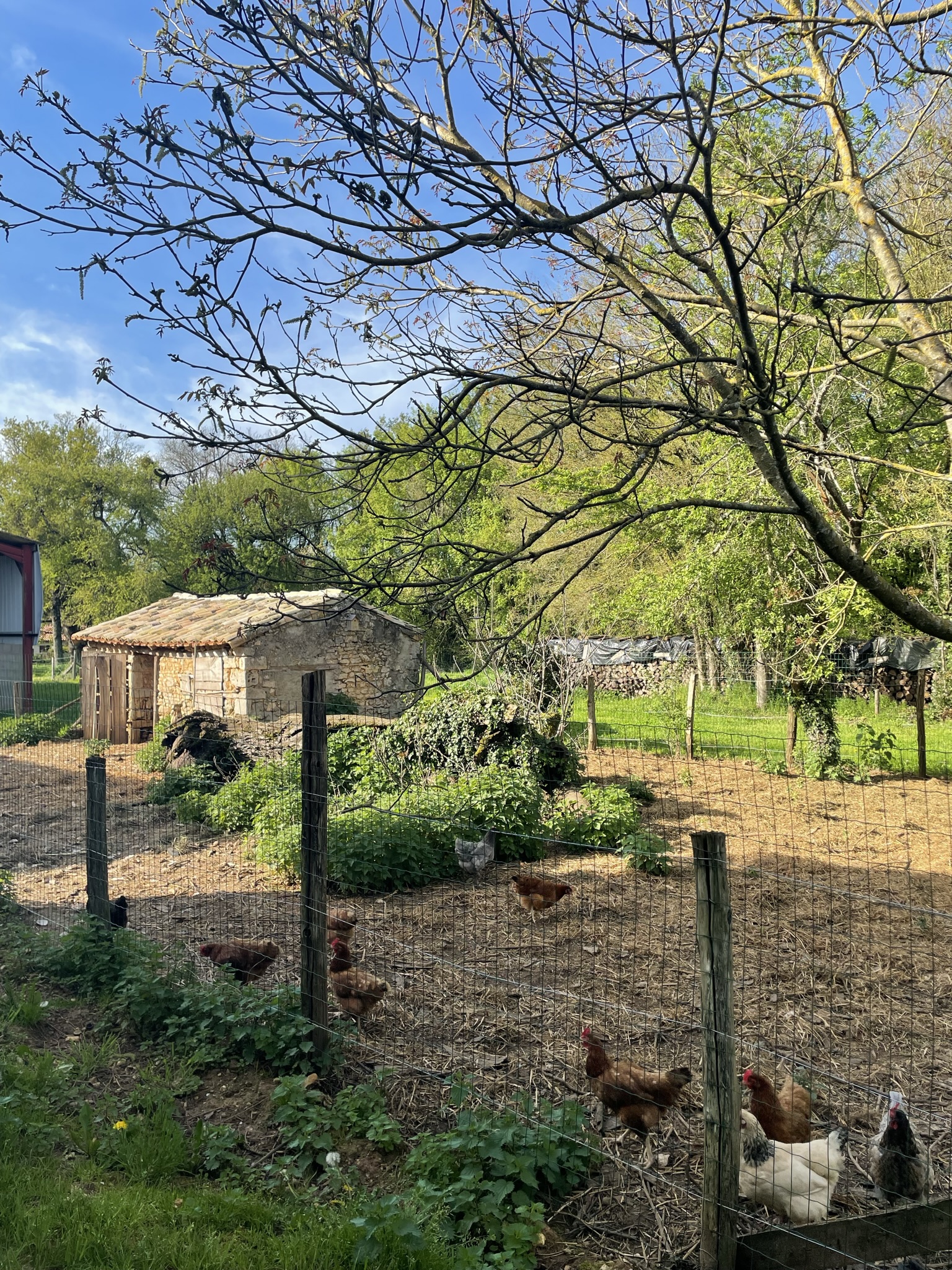 Photo de Le Jardin du Coin