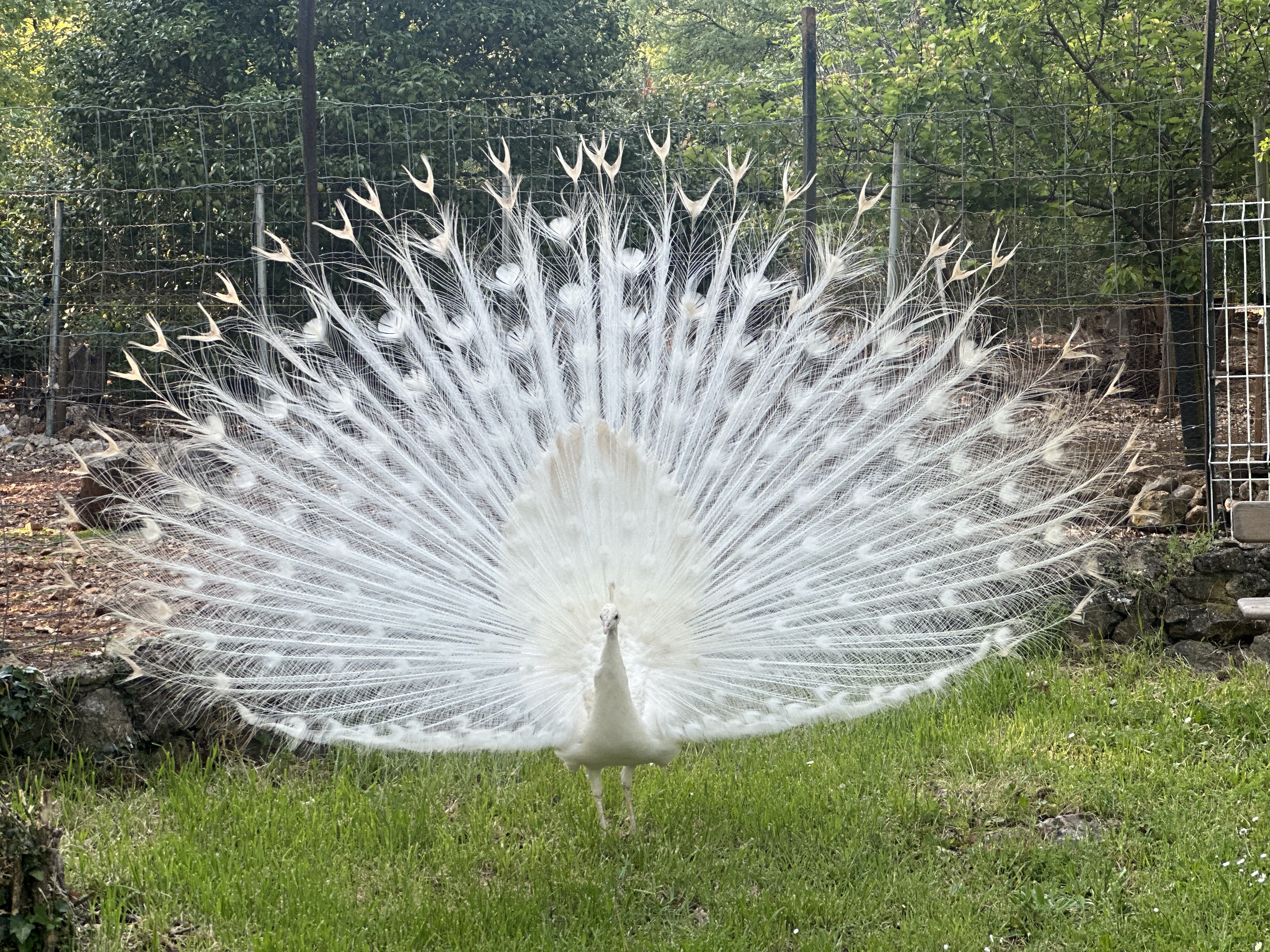 Photo de Les ecuries d’edoras