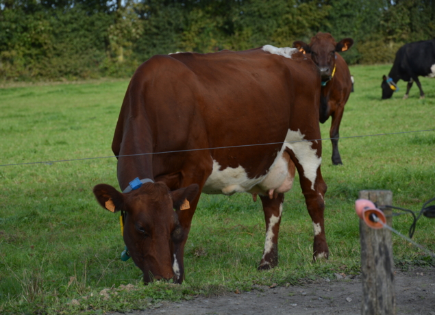 Photo de La Ferme de la Fontaine Orion