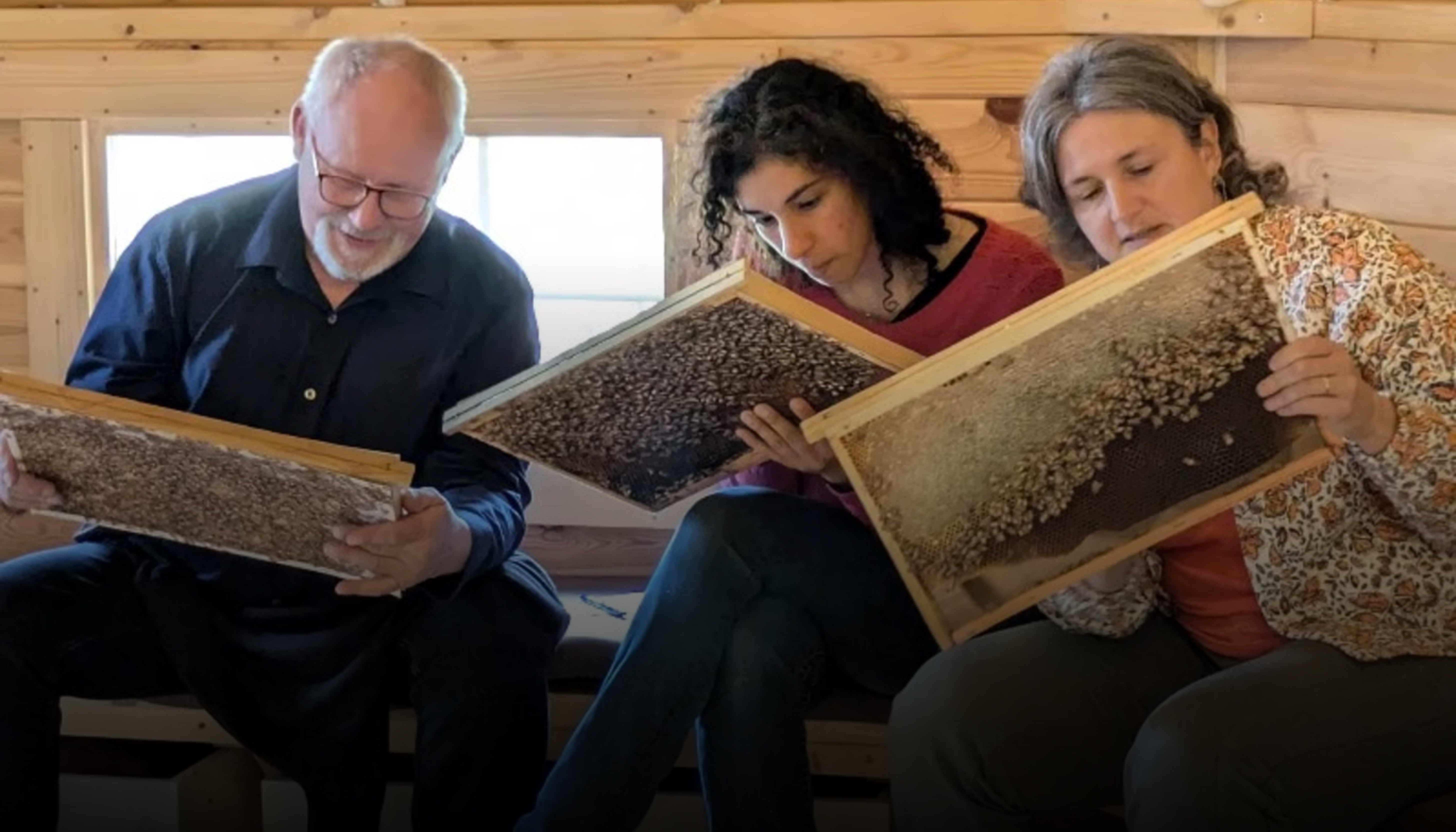 Séminaires & Teambuilding