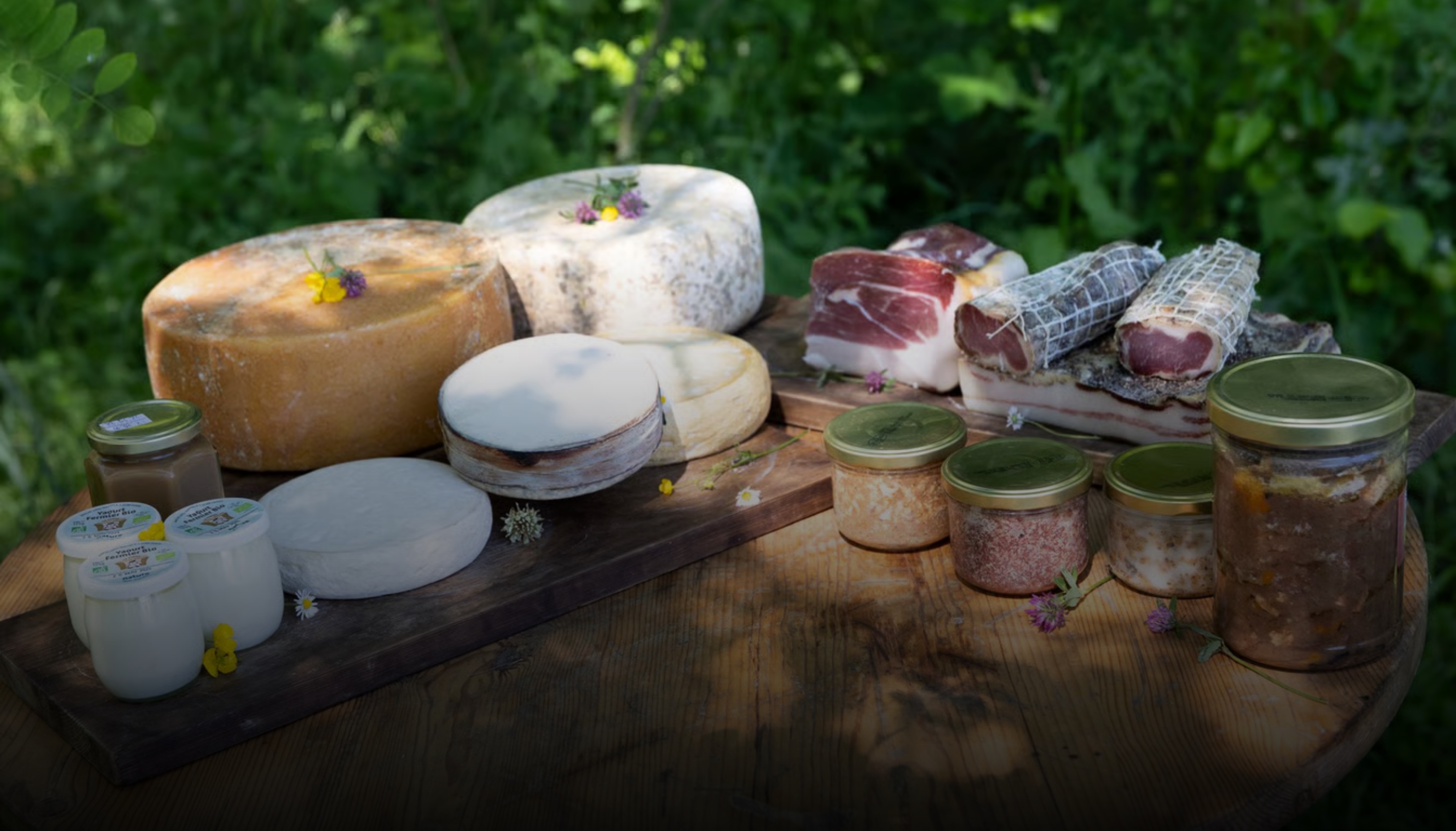 Repas & Dégustation