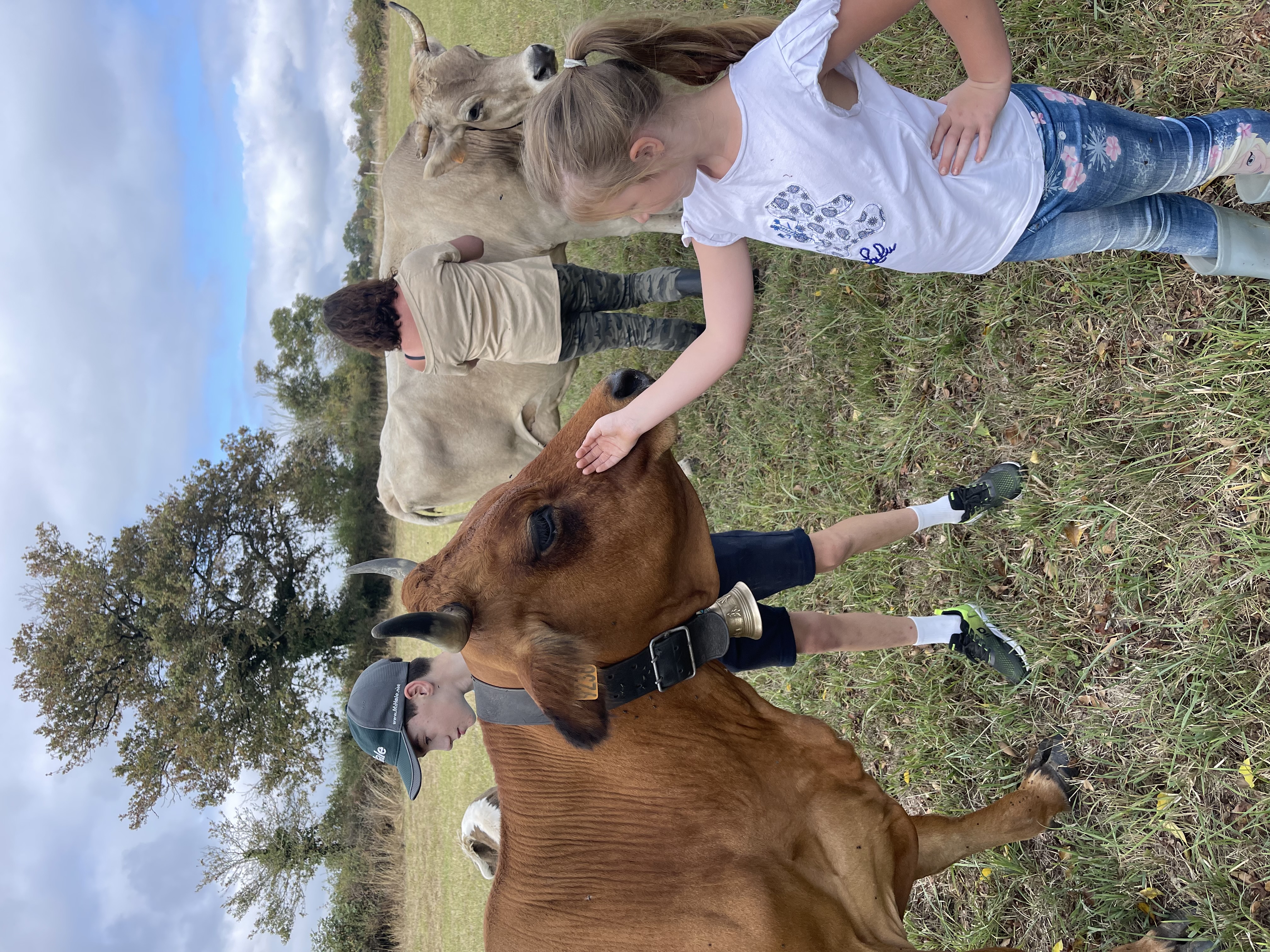 Visite de ferme avec produits locaux et animations pour enfants